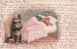 Carte Postale CHATS - Katten