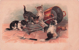 Carte Postale CHATS - Katten