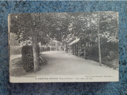 CPA  - 20  - CHATEL-GUYON  - UNE ALLEE DU PARC  -  ( Puy-de-Dôme ) - Châtel-Guyon