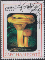 1999 Afghanistan ⵙ Mi:AF 1845, False Saffron Milk-cap (Lactarius Deterrimus) - Afghanistan