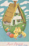EASTER CHICKEN EGG Vintage Postcard CPA #PKE076.A - Ostern