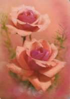FLOWERS Vintage Postcard CPSM #PBZ649.A - Fleurs