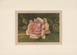 FLOWERS Vintage Postcard CPSM #PBZ554.A - Fleurs