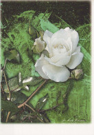 FLEURS Vintage Carte Postale CPSM #PBZ567.A - Fleurs