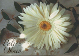 FLOWERS Vintage Postcard CPSM #PBZ399.A - Fleurs
