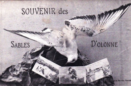 85 - Vendée - Souvenir Des SABLES D'OLONNE - Sables D'Olonne