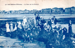 85 - Vendée - LES SABLES D OLONNE - La Pose Sur Les Rochers - Sables D'Olonne