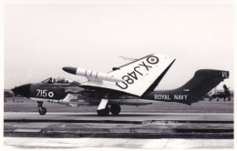 Photo Originale - Aviation - Militaria - Avion De Havilland Sea Vixen-  FAW 1 - ROYAL NAVY - Aviación