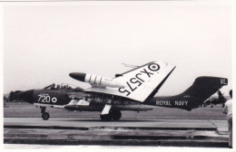 Photo Originale - Aviation - Militaria - Avion De Havilland Sea Vixen-  FAW 1 - ROYAL NAVY - Aviación