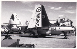 Photo Originale - Aviation - Militaria - Avion Hawker Sea Hawk - ROYAL NAVY - Aviación