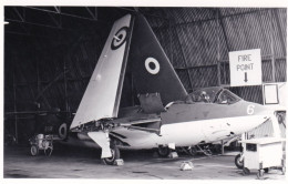 Photo Originale - Aviation - Militaria - Avion Hawker Sea Hawk FGA 6 - ROYAL NAVY - Aviación