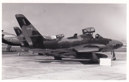 Photo Originale - Aviation - Militaria - Avion Republic F-84F Thunderstreak - Aviation