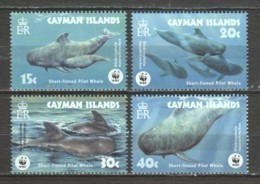 Cayman Islands 2003 Mi 970-973 MNH WWF - WHALES - Ongebruikt