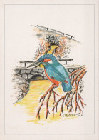 BIRD Animals Vintage Postcard CPSM #PAN152.A - Vögel