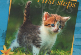 KATZE MIEZEKATZE Tier Vintage Ansichtskarte Postkarte CPSM #PAM410.A - Chats