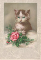 GATTO KITTY Animale Vintage Cartolina CPSM #PAM278.A - Chats