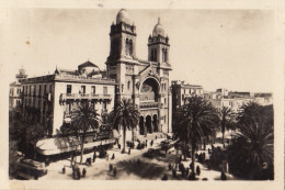 Photo Afrique Tunisie Tunis La Cathédrale - Africa