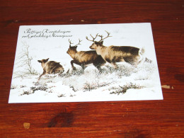 76912- HERTEN / DEER / HIRSCH / CERF - PRETTIGE FEESTDAGEN / MERRY CHRISTMAS / JOYEUX NOËL / FROHE WEIHNACHTEN - Sonstige & Ohne Zuordnung