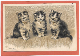 CHATS - Gaufrée - Trois Chatons Rient - Cats