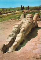 ITALIE - Sicilia - Agrigento - Uno Dei Telamoni - Carte Postale - Agrigento