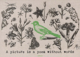 UCCELLO Vintage Cartolina CPSMPF #PKG961.A - Vögel