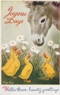 ASINO Animale Vintage CPA Cartolina #PAA156.A - Asino