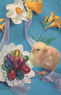 PASCUA POLLO HUEVO Vintage Tarjeta Postal CPA #PKE442.A - Ostern