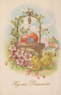 PÂQUES POULET ŒUF Vintage Carte Postale CPA #PKE124.A - Ostern