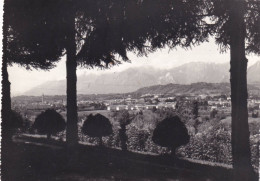 Cartolina Belluno - Panorama - Belluno