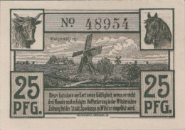 25 PFENNIG 1920 Stadt WILSTER Schleswig-Holstein DEUTSCHLAND Notgeld #PG111 - [11] Emisiones Locales