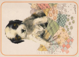 CANE Animale Vintage Cartolina CPSM #PAN550.IT - Honden