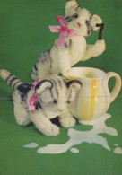 GATTO KITTY Animale Vintage Cartolina CPSM Unposted #PAM295.IT - Katten