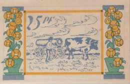 25 PFENNIG 1921 Stadt SEETH-EKHOLT Schleswig-Holstein DEUTSCHLAND Notgeld #PF463 - [11] Emissions Locales