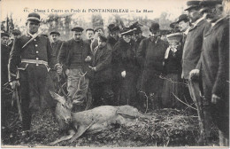 77 - FONTAINEBLEAU - Chasse à Courre - La Mort - Animée - Fontainebleau