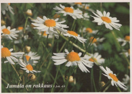 FLOWERS Vintage Ansichtskarte Postkarte CPSM #PAS512.DE - Flowers