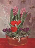 FLOWERS Vintage Ansichtskarte Postkarte CPSM #PAS392.DE - Fleurs