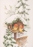 VOGEL Tier Vintage Ansichtskarte Postkarte CPSM #PAM988.DE - Pájaros