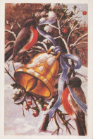 VOGEL Tier Vintage Ansichtskarte Postkarte CPSM #PAM925.DE - Vögel
