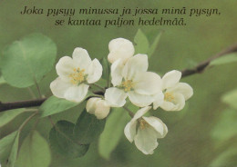 FIORI Vintage Cartolina CPSM #PBZ260.IT - Flowers