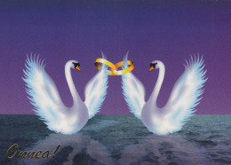 UCCELLO Animale Vintage Cartolina CPSM #PBR489.IT - Pájaros