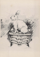 CONIGLIO Animale Vintage Cartolina CPSM #PBR154.IT - Sonstige & Ohne Zuordnung