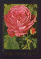 FLORES Vintage Tarjeta Postal CPSM #PAS330.ES - Fleurs