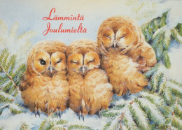 PÁJARO Animales Vintage Tarjeta Postal CPSM #PAM738.ES - Oiseaux