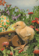 OSTERN HUHN EI Vintage Ansichtskarte Postkarte CPSM #PBP167.DE - Pâques