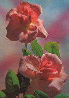 FLEURS Vintage Carte Postale CPSM #PAS151.FR - Flowers