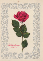 FLEURS Vintage Carte Postale CPSM #PAR730.FR - Blumen