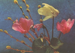 FLEURS Vintage Carte Postale CPSM #PAR430.FR - Fleurs