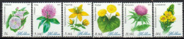 Moldova / Moldavië - Postfris / MNH - Complete Set Flora 2024 - Moldova