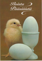 PASCUA POLLO HUEVO Vintage Tarjeta Postal CPSM #PBP043.ES - Ostern