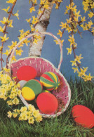 PASCUA HUEVO Vintage Tarjeta Postal CPSM #PBO159.ES - Ostern